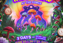 Beyond Wonderland PNW 2027